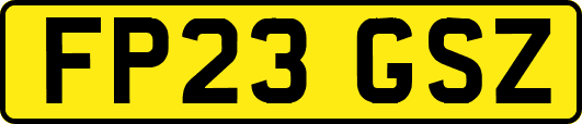FP23GSZ