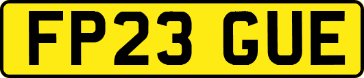 FP23GUE