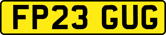 FP23GUG