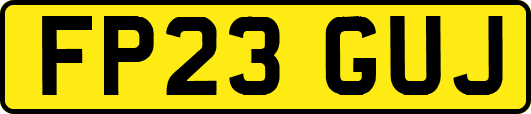 FP23GUJ