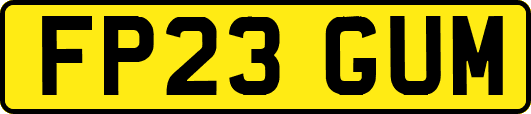 FP23GUM