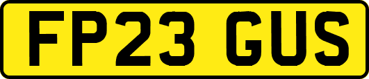 FP23GUS