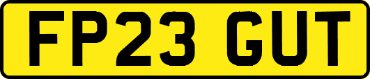 FP23GUT