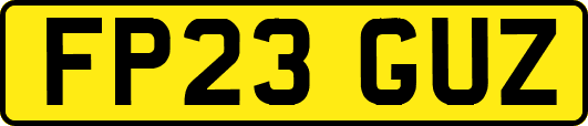 FP23GUZ