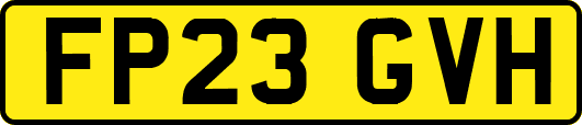 FP23GVH