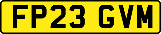 FP23GVM