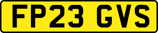 FP23GVS