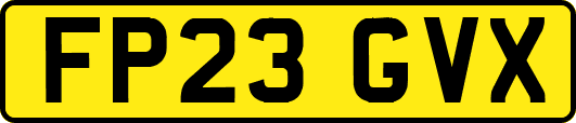 FP23GVX