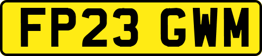 FP23GWM