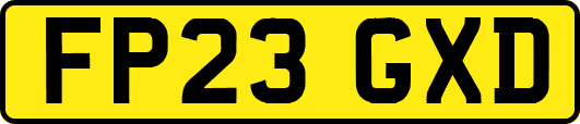 FP23GXD