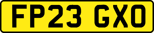 FP23GXO