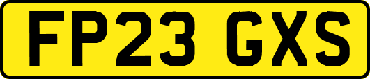 FP23GXS