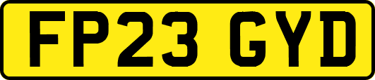 FP23GYD
