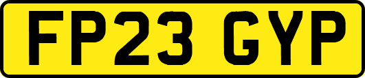 FP23GYP