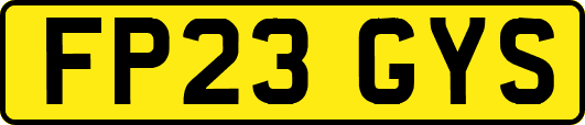 FP23GYS