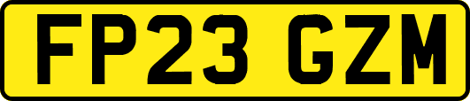 FP23GZM