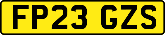 FP23GZS