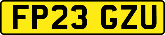 FP23GZU
