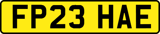 FP23HAE