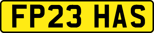 FP23HAS