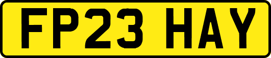 FP23HAY