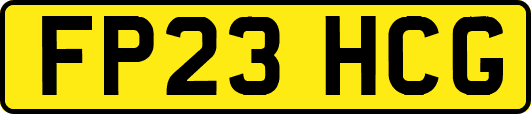 FP23HCG