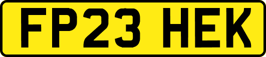 FP23HEK