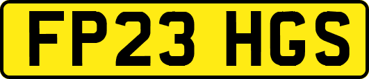 FP23HGS