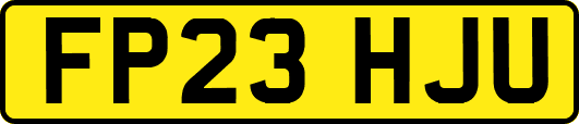 FP23HJU
