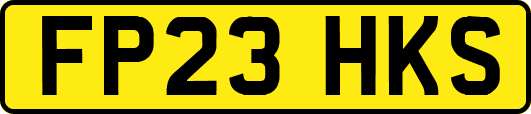 FP23HKS
