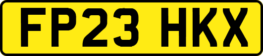 FP23HKX