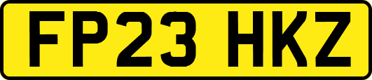 FP23HKZ