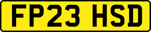FP23HSD