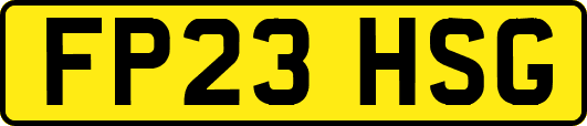 FP23HSG