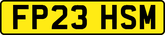 FP23HSM
