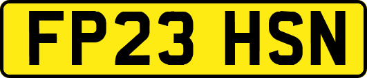 FP23HSN