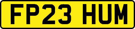 FP23HUM