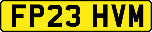 FP23HVM