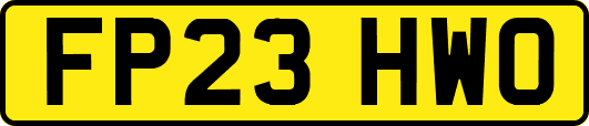 FP23HWO