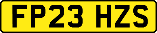 FP23HZS