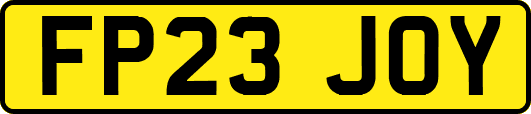 FP23JOY