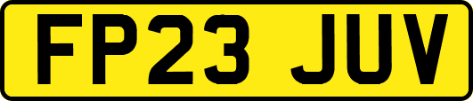 FP23JUV