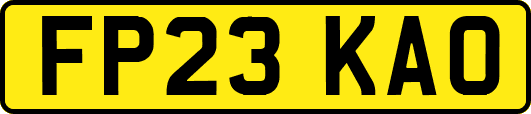 FP23KAO