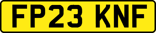 FP23KNF