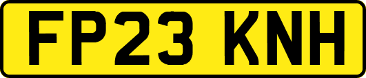 FP23KNH