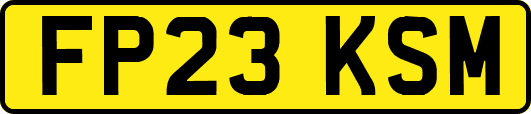 FP23KSM