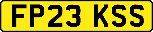 FP23KSS