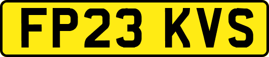 FP23KVS