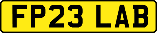 FP23LAB