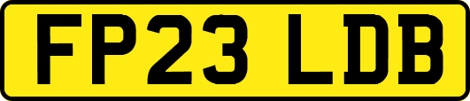 FP23LDB
